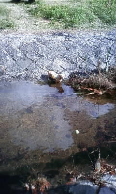 PA0_0337.JPG