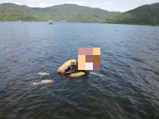 GRP_0115.JPG