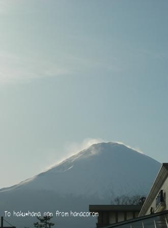 富士山1