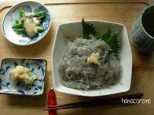 新物生シラス丼