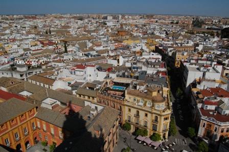 ヒラルダの塔から、サンタ･クルス街方面