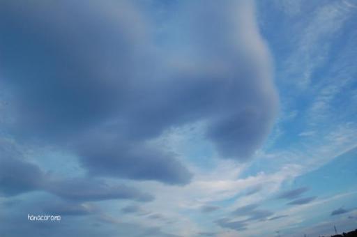 お散歩の空