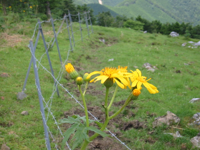 IMG_1580.jpg