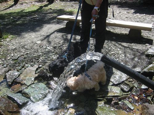 ダイアモンド水まで～市民の森 6.jpg