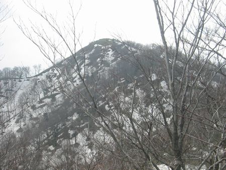 毛無山 12.jpg