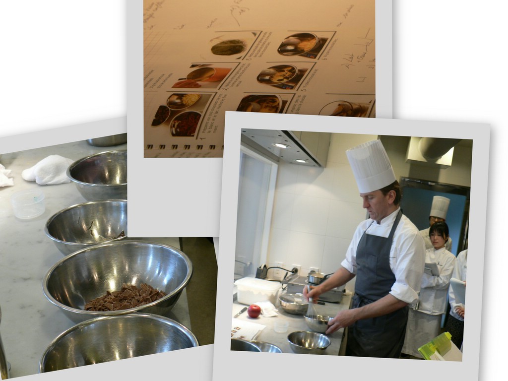 collage2.jpg