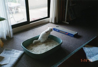 太郎のおトイレタイム