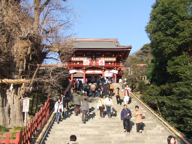 鶴岡八幡宮