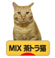 にほんブログ村 猫ブログ MIX茶トラ猫へ