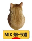 にほんブログ村 猫ブログ MIX茶トラ猫へ