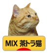 にほんブログ村 猫ブログ MIX茶トラ猫へ