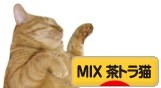 にほんブログ村 猫ブログ MIX茶トラ猫へ