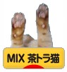 にほんブログ村 猫ブログ MIX茶トラ猫へ