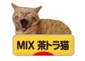 にほんブログ村 猫ブログ MIX茶トラ猫へ