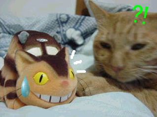 nekobasu_2.jpg