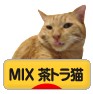 にほんブログ村 猫ブログ MIX茶トラ猫へ