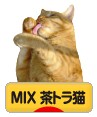 にほんブログ村 猫ブログ MIX茶トラ猫へ