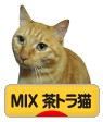 にほんブログ村 猫ブログ MIX茶トラ猫へ