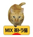 にほんブログ村 猫ブログ MIX茶トラ猫へ