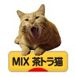 にほんブログ村 猫ブログ MIX茶トラ猫へ