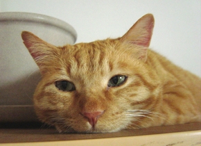 DSC00065.jpg
