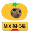 にほんブログ村 猫ブログ MIX茶トラ猫へ