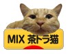 にほんブログ村 猫ブログ MIX茶トラ猫へ