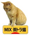 にほんブログ村 猫ブログ MIX茶トラ猫へ