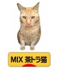 にほんブログ村 猫ブログ MIX茶トラ猫へ