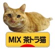 にほんブログ村 猫ブログ MIX茶トラ猫へ