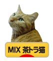 にほんブログ村 猫ブログ MIX茶トラ猫へ