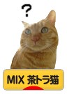 にほんブログ村 猫ブログ MIX茶トラ猫へ