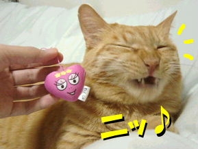 カリンスマイル♪.jpg
