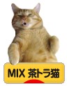 にほんブログ村 猫ブログ MIX茶トラ猫へ