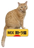 にほんブログ村 猫ブログ MIX茶トラ猫へ