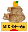 にほんブログ村 猫ブログ MIX茶トラ猫へ