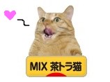 にほんブログ村 猫ブログ MIX茶トラ猫へ