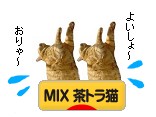 にほんブログ村 猫ブログ MIX茶トラ猫へ