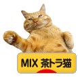 にほんブログ村 猫ブログ MIX茶トラ猫へ