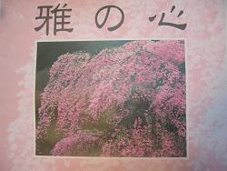 みやび…みやびやかでありたい。.jpg