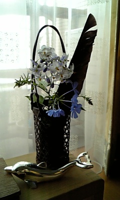 ヤマホロシ、ルリマツリ、拾ったカラスの羽 1