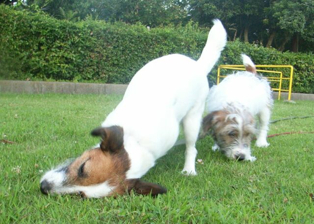 ここの辺りのにおいが　タマラン　のよ♪