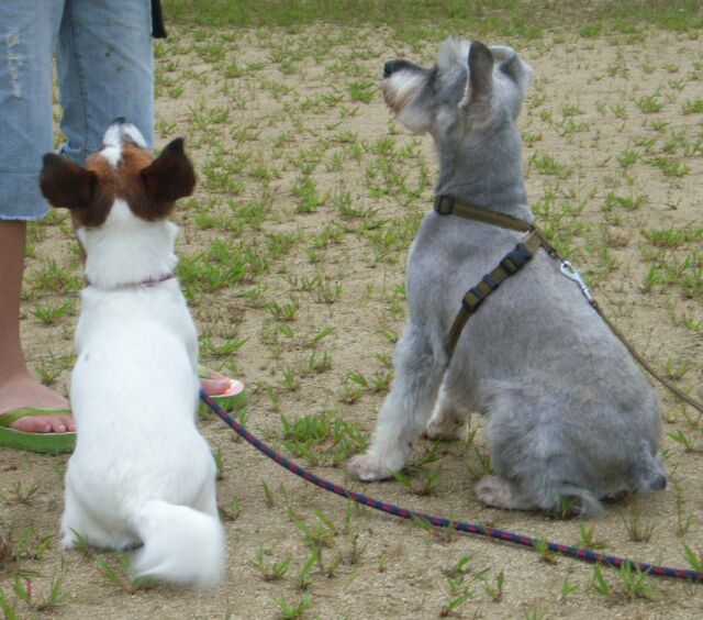 ウマウマ・・・・・ちょ～だい♪
