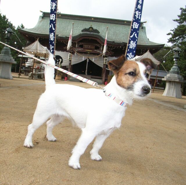 おみくじは、「大吉」でした♪