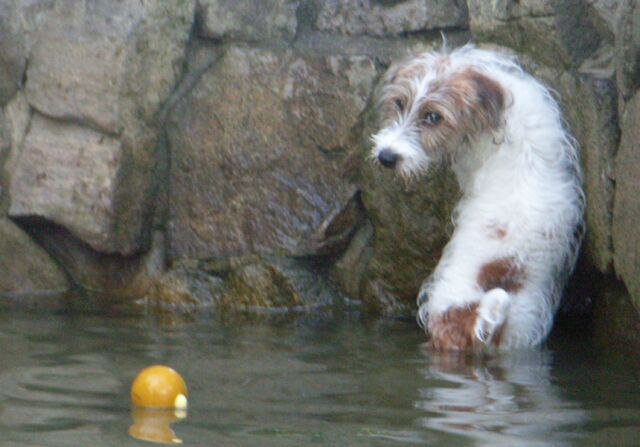 ちょっと～何とかしてほしいんですけど～