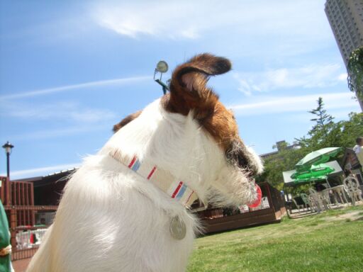 日差しはもう夏だよ；；