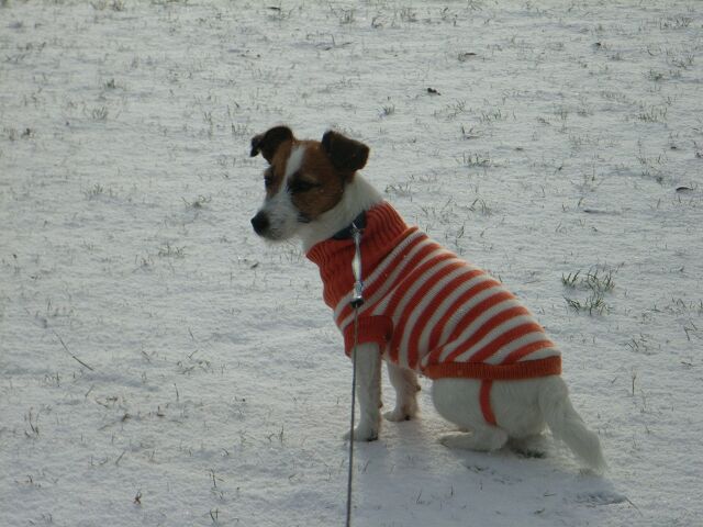 誰か来ませんかね～～