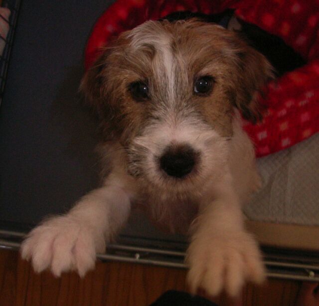 出してくれ～～い！！！