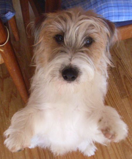 バ・バ・バレンタインって「食い放題」の日のこと？