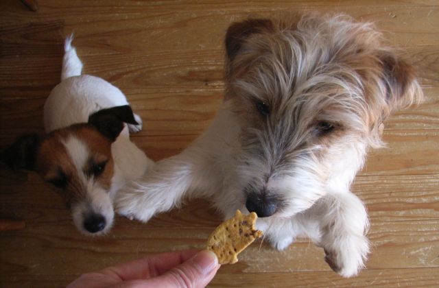 いただきま～～すっ